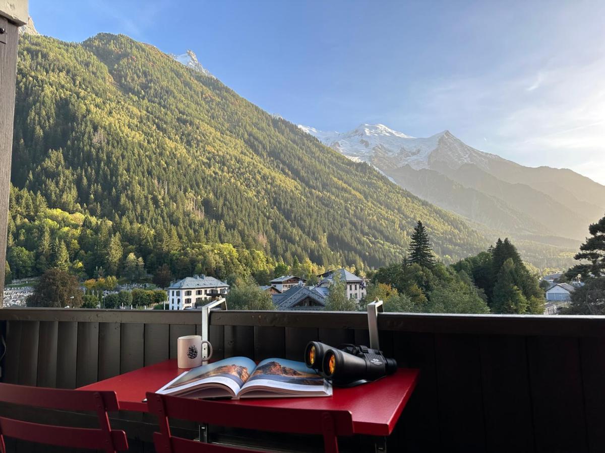 Center & Unique Mountain View Apartman Chamonix Kültér fotó